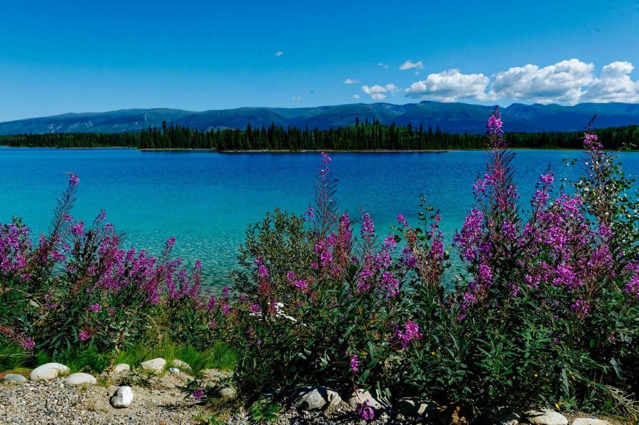 Arctic Divide Lodge Dease Lake Exterior photo